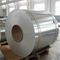 China 3xxx 1xxx Cladding Mirror Aluminum Coil Roll with Protective Blue Film