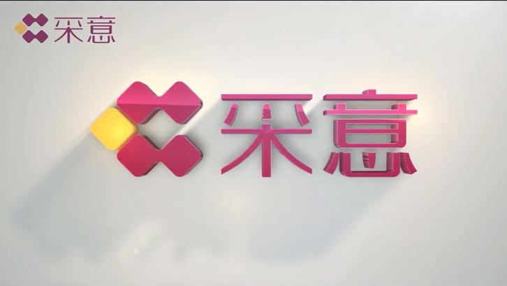 Company promotion video